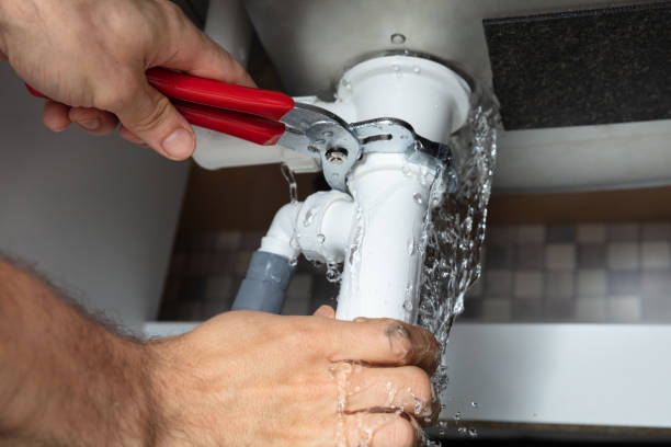 Best Water damage contractors near me  in Moenkopi, AZ