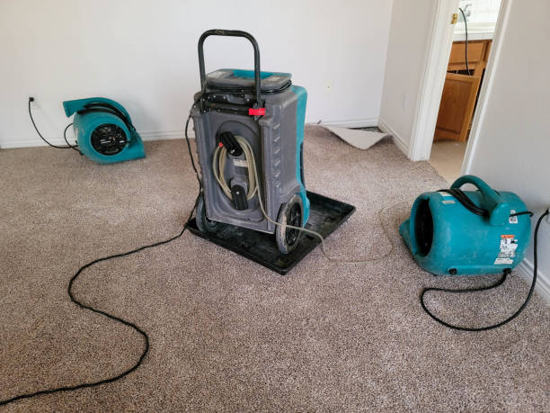 Best Water damage cleanup near me  in Moenkopi, AZ
