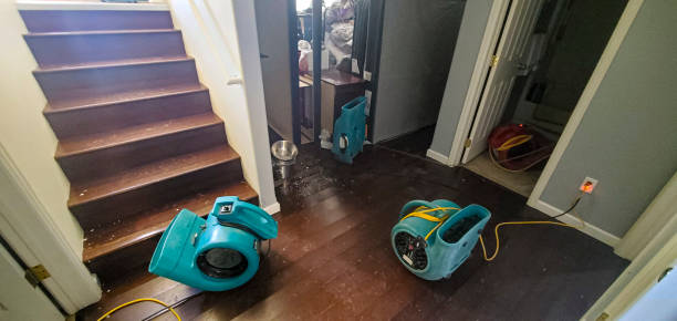 Carpet water damage restoration