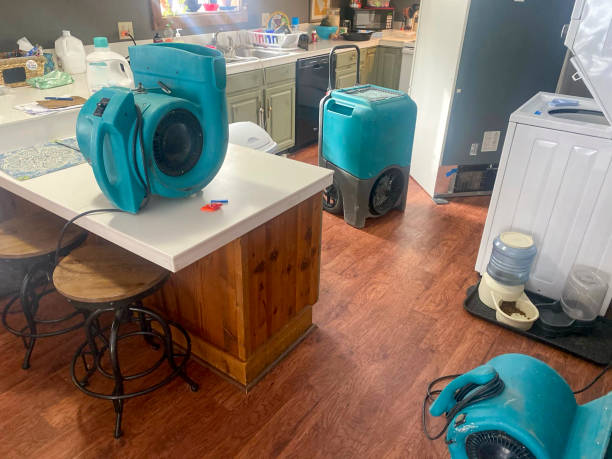 Best Carpet water damage restoration  in Moenkopi, AZ