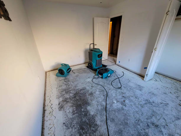 Best Ceiling water damage repair  in Moenkopi, AZ