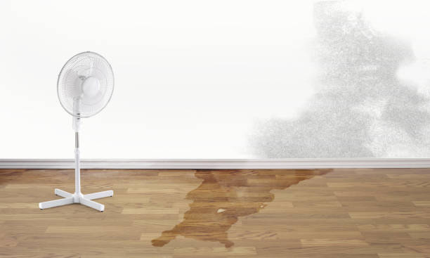 Best Flood damage cleanup  in Moenkopi, AZ