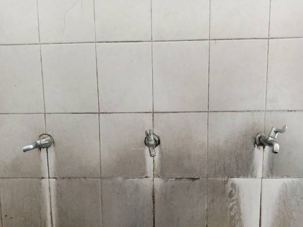 Best Water damage restoration near me  in Moenkopi, AZ